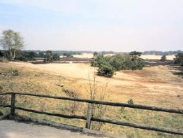 Zandverstuiving Hulshorst